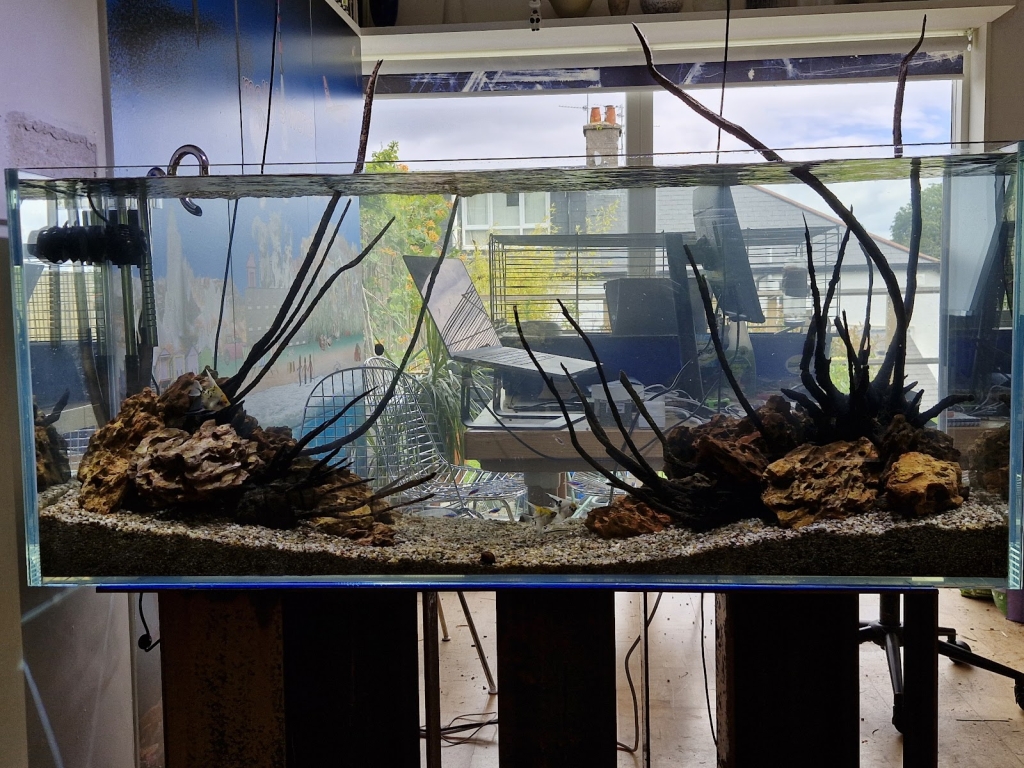 Aquaman Complete Aquarium Services