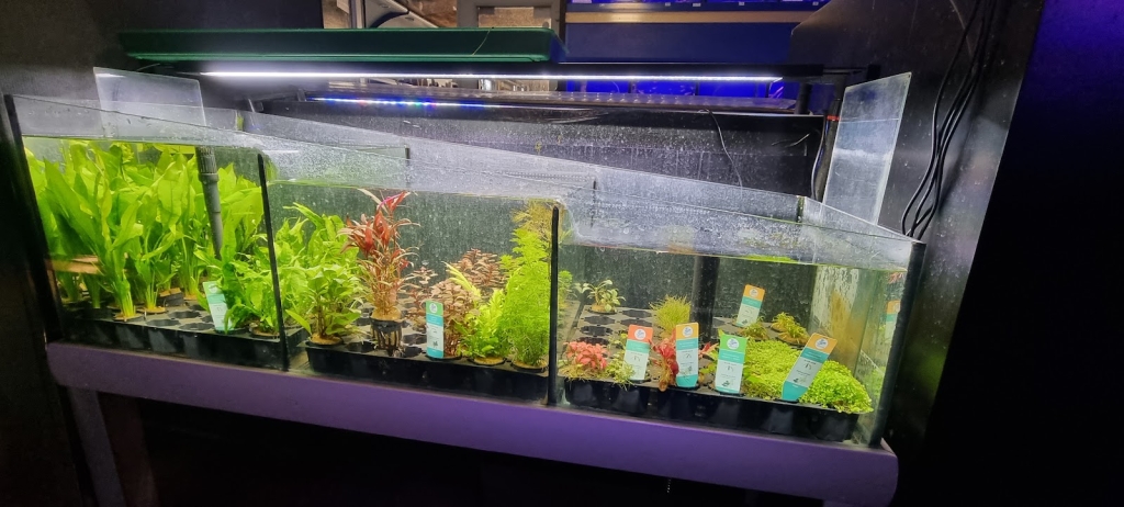 AQUATIC SHOP@birleymoor