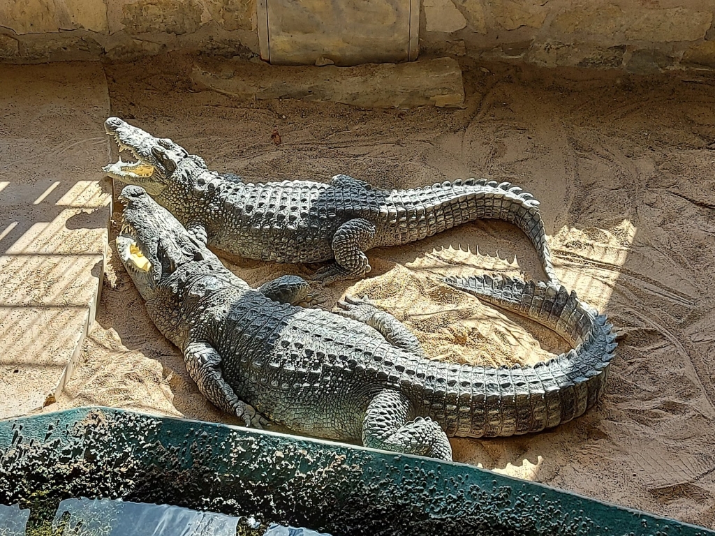 Acuario Marítimo del Parque Temático GmbH
