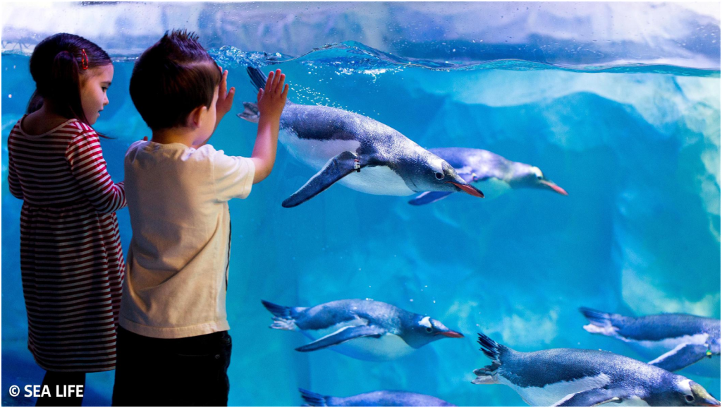 SEA LIFE Konstanz