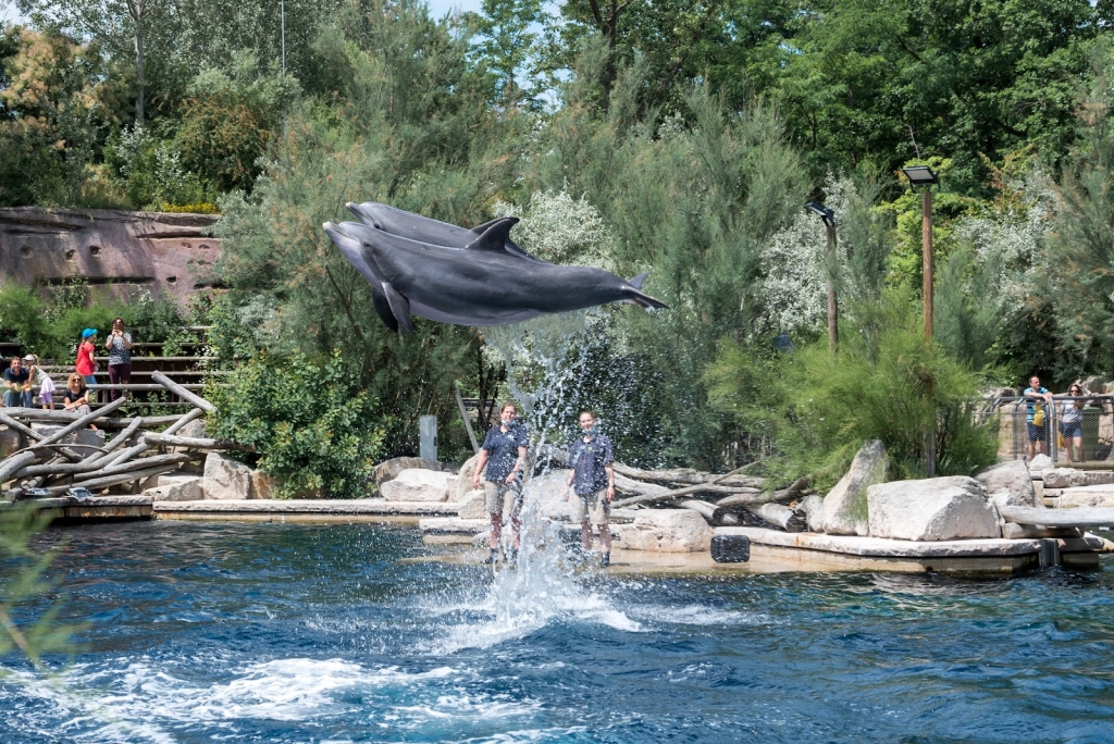Delfinario en el zoológico de Núremberg