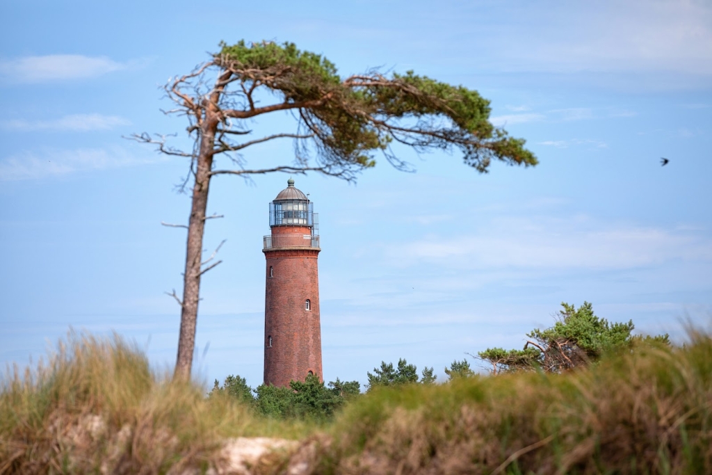 Naturaleza de Darßer Ort