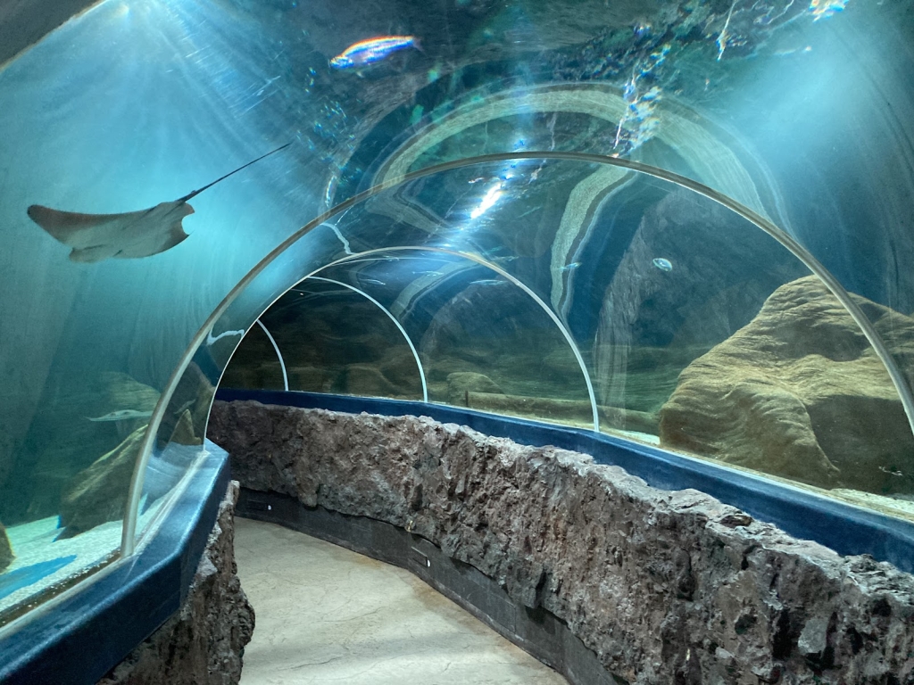 Acuario de Sylt