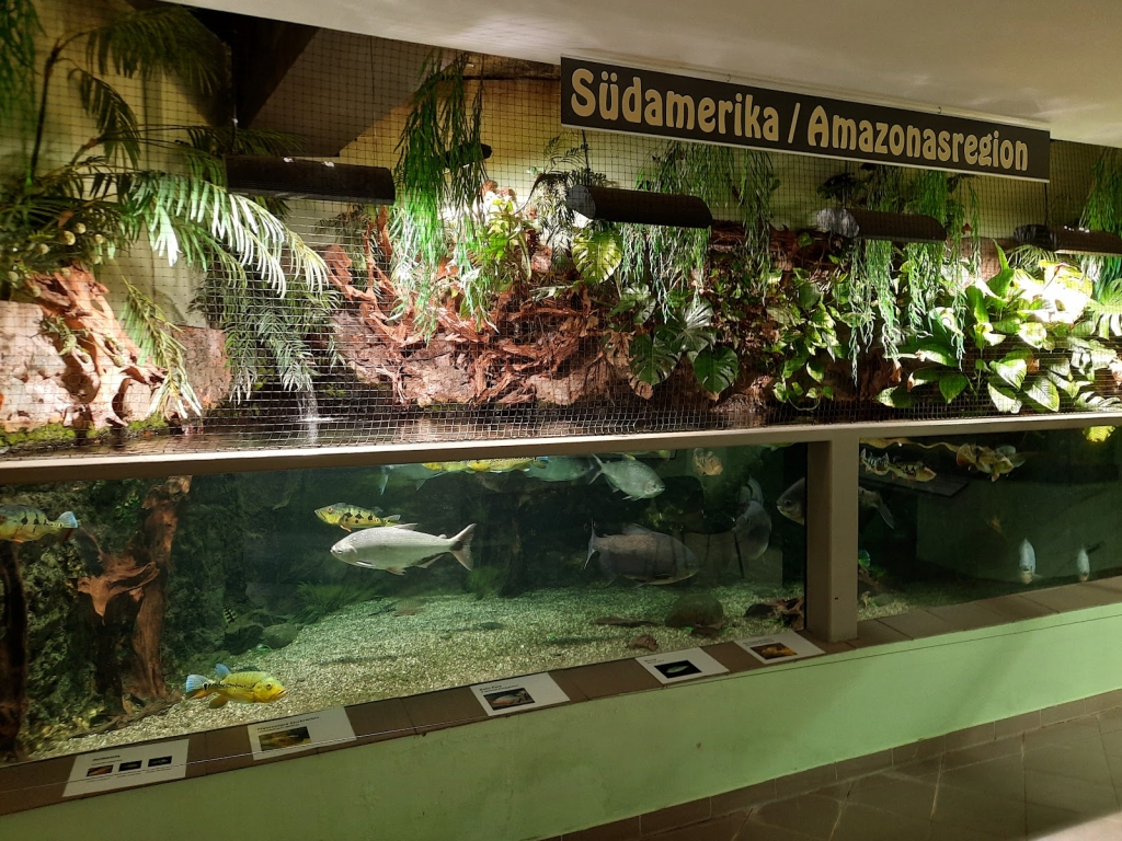 Exotarium Oberhof