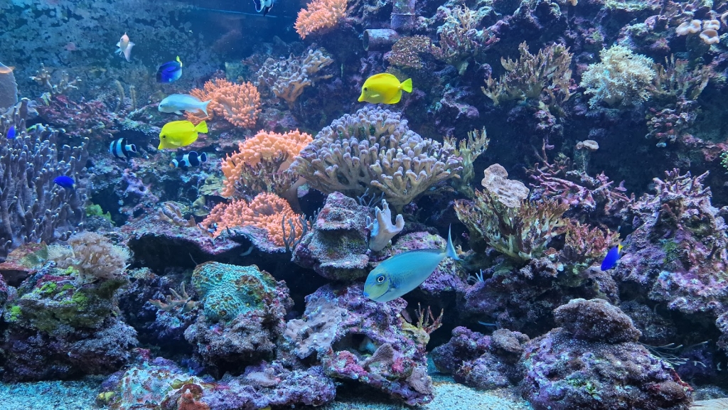 Acuario Marino en Fichtelberg