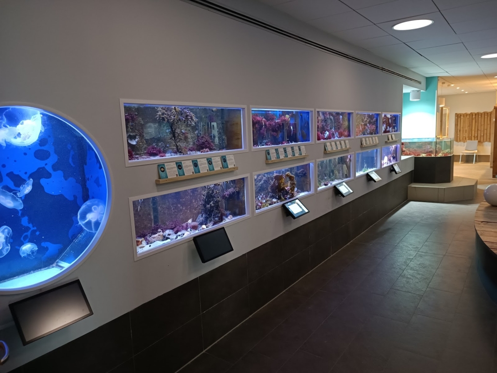 Acuario del Mar del Norte Borkum