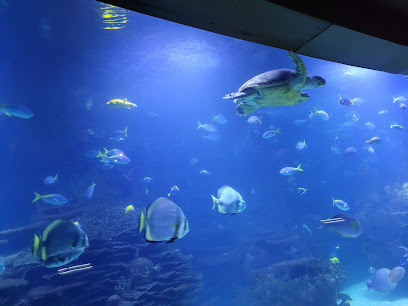 Aquarium