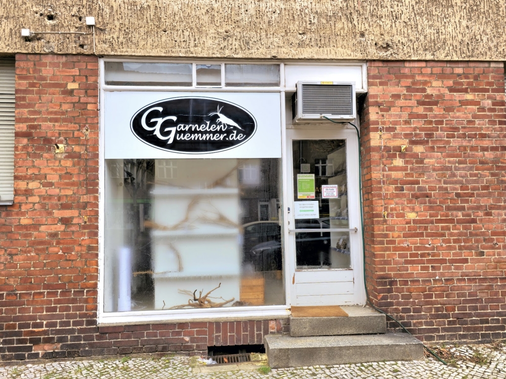 Garnelen-Guemmer