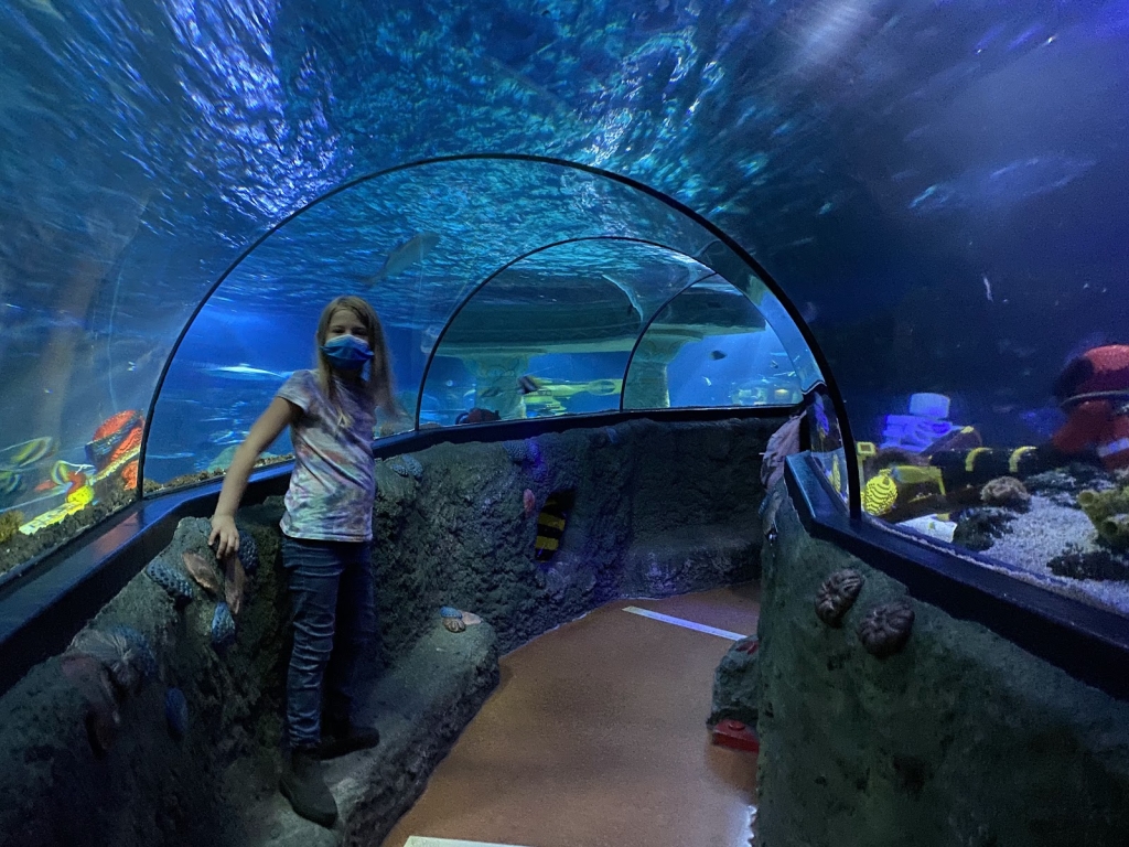 LEGOLAND ATLANTIS por SEA LIFE