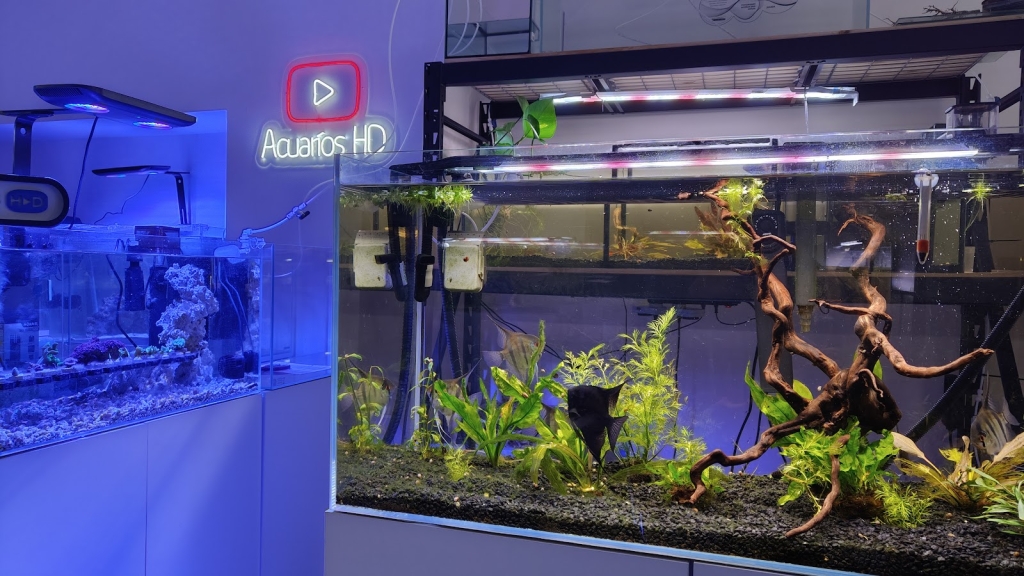 Online Store of Marine and Freshwater Aquariums