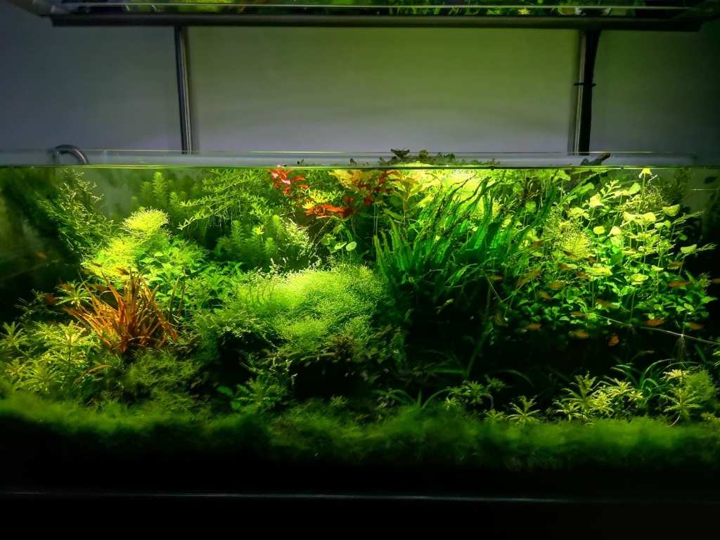 Aquasabi