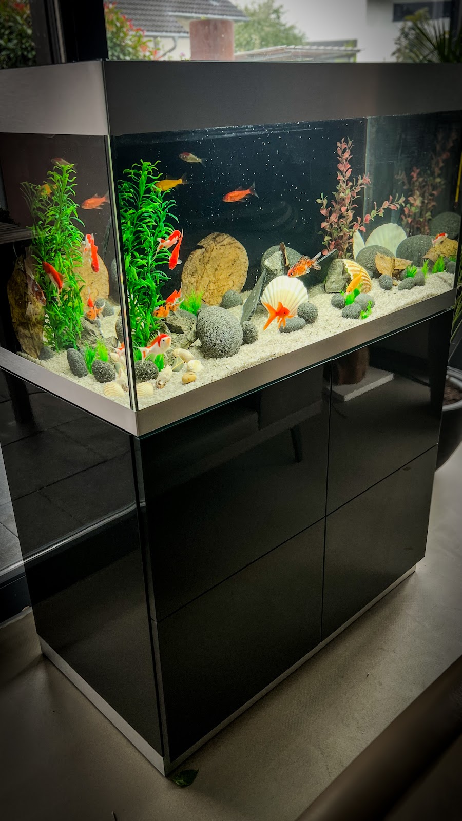 Aquarium Love - Dieterle Pond and Garden Construction