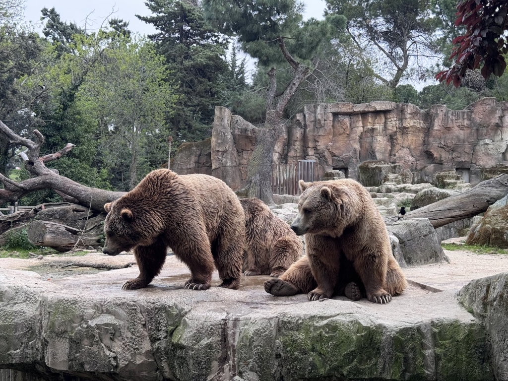 Zoo Aquarium de Madrid