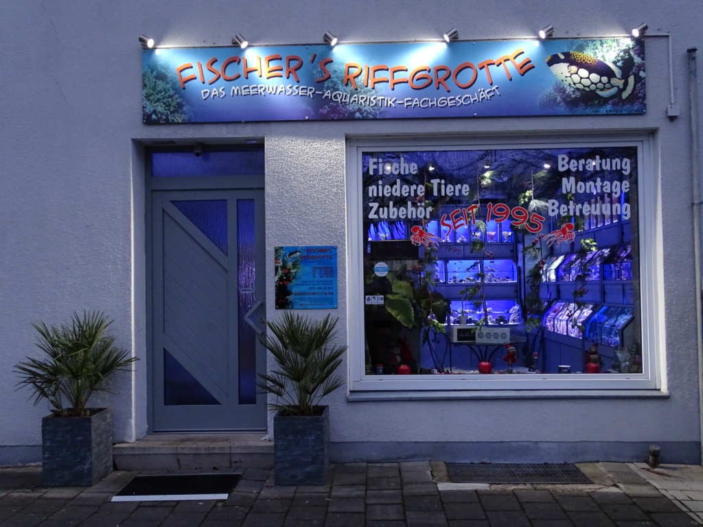 Cueva Riff de Fischer - Tienda Especializada en Acuarios de Agua Salada | Tienda en Línea