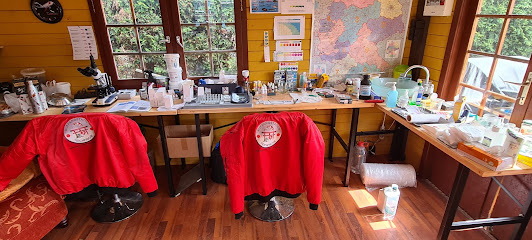 Catchment Station Pond Fish UG