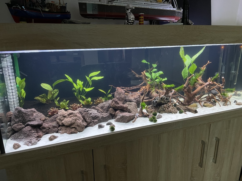 Medusa6 GbR. Ligendza&Adamczyk