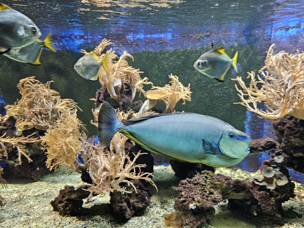 Tetra Aquarium and Terrarium at Osnabrück Zoo