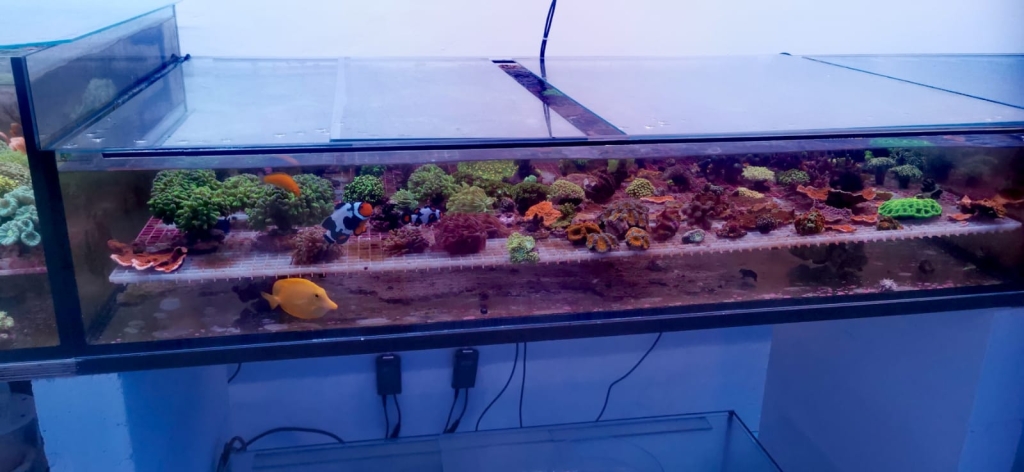 The Seawater Paradise