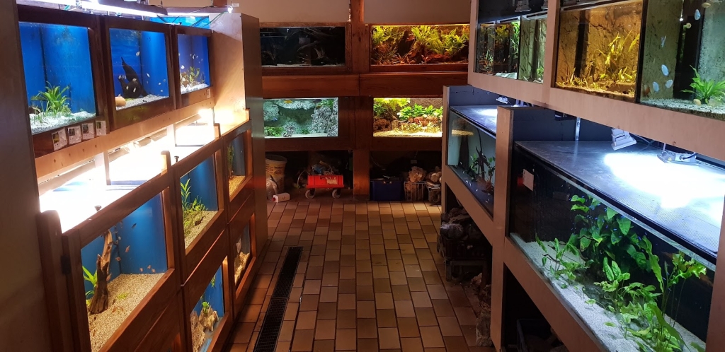 Recklinghausen South Aquarium e.V.