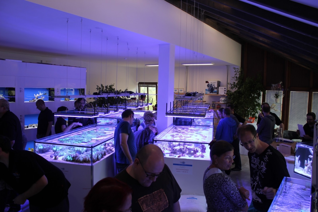 SeaWaterWorld - ReefSystem ReefCeramics