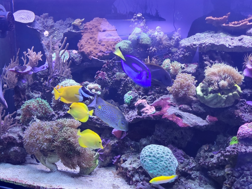 Marine Aquaristics Land