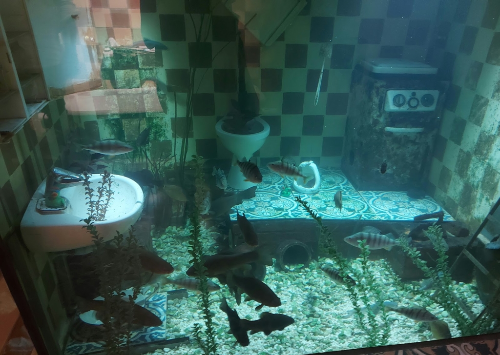 Erlebnis-Aquarium Fietes Schuppen-Schuppen