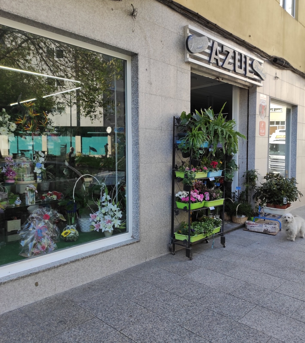 BLUE FLORIST AND PET STORE