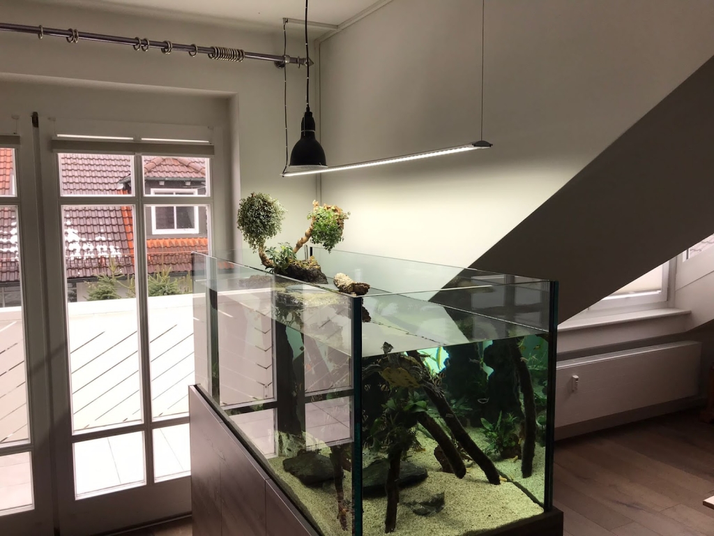 Aquarium Logistics Raasch