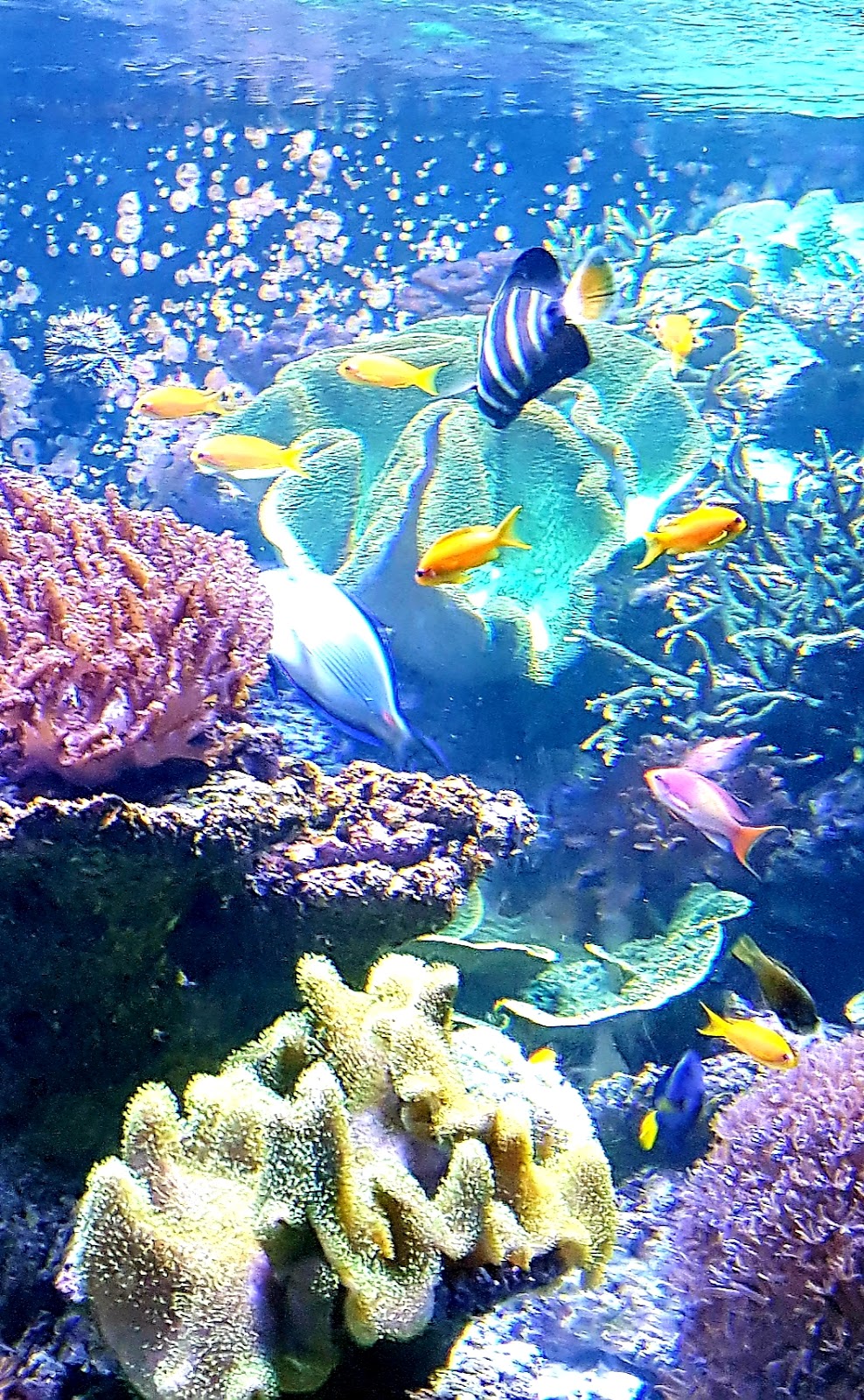 Luisenpark Underwater World