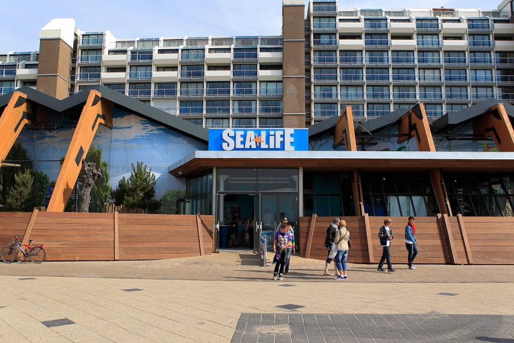 Sea Life Scheveningen