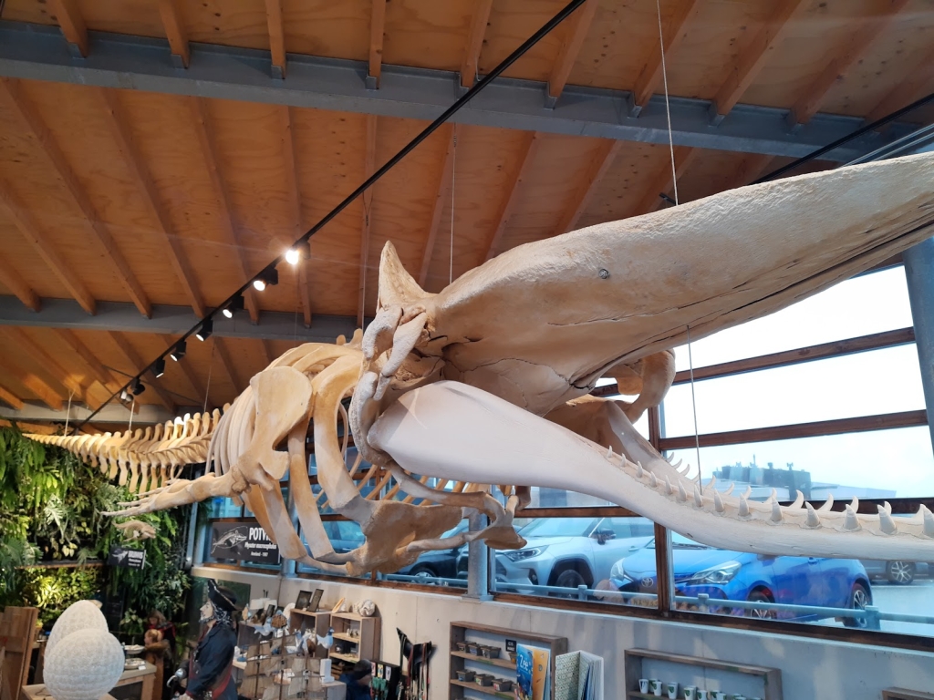 Acuario Marino Bergen Aan Zee
