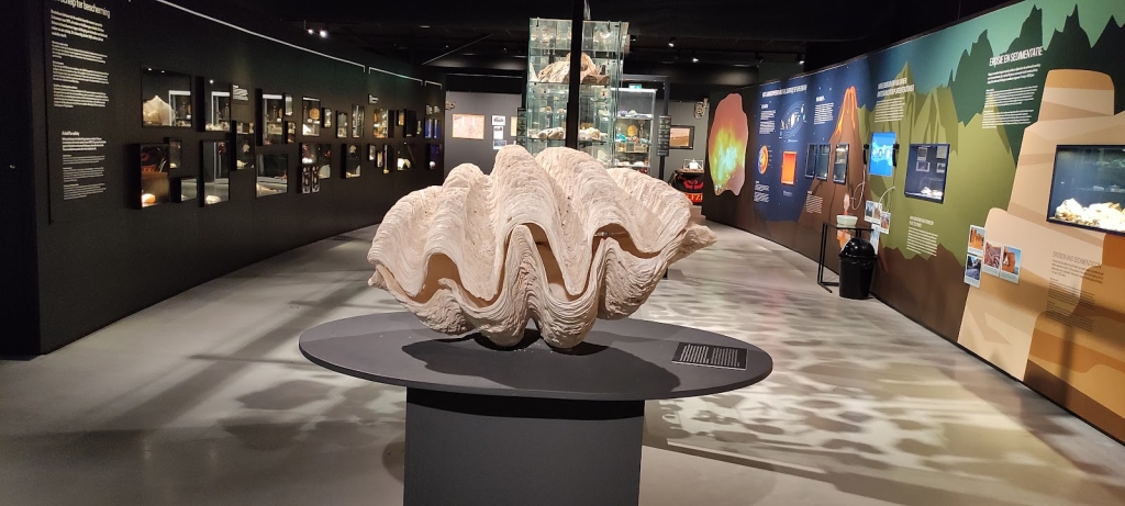Muzeeaquarium Delfzijl
