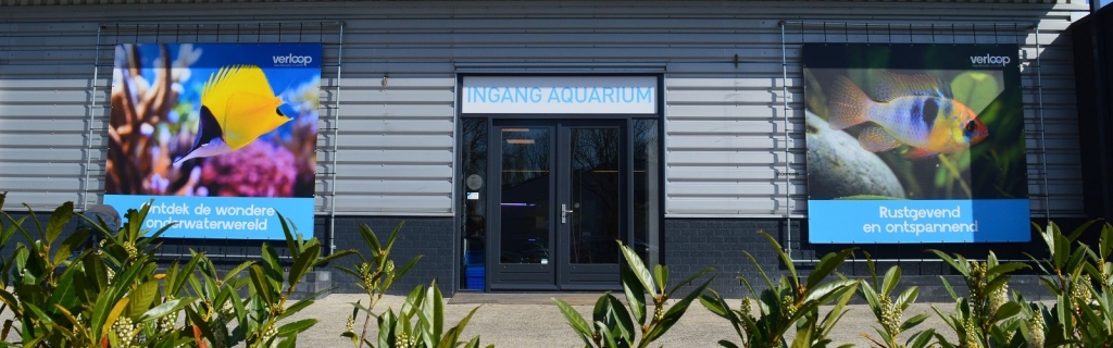 Verloop Tienda Especializada en Acuarios