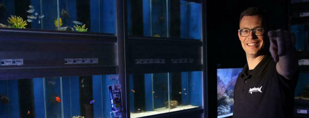Aquadeco