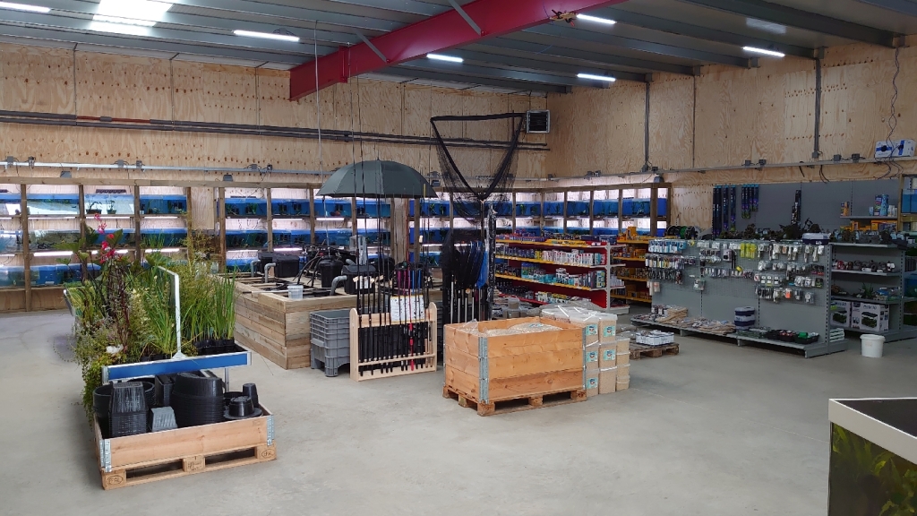 Aquariumplantenshop