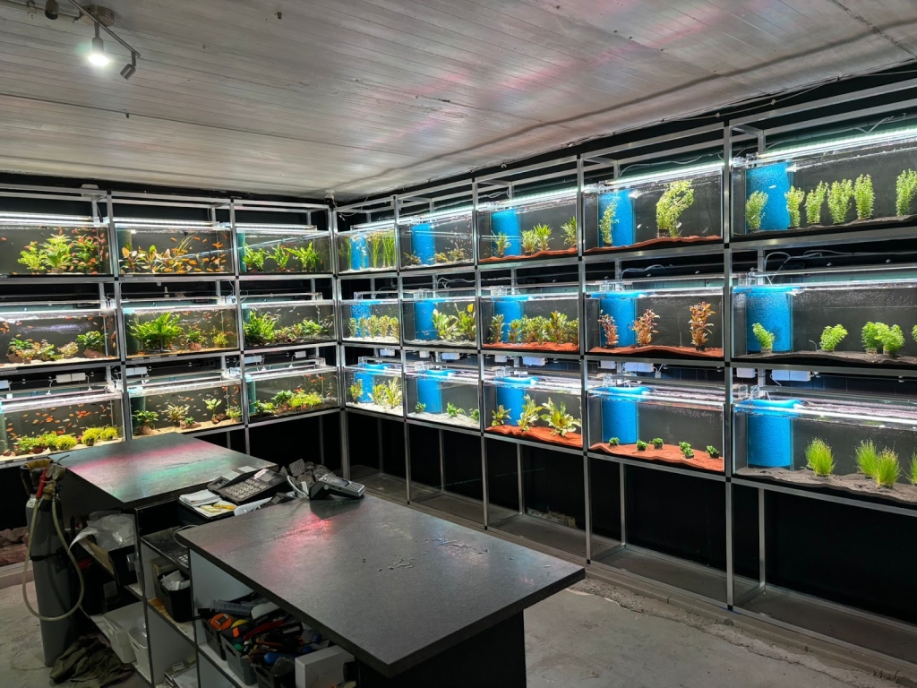 Rebbies Fish