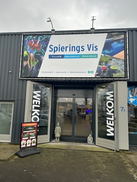 Spierings Fish