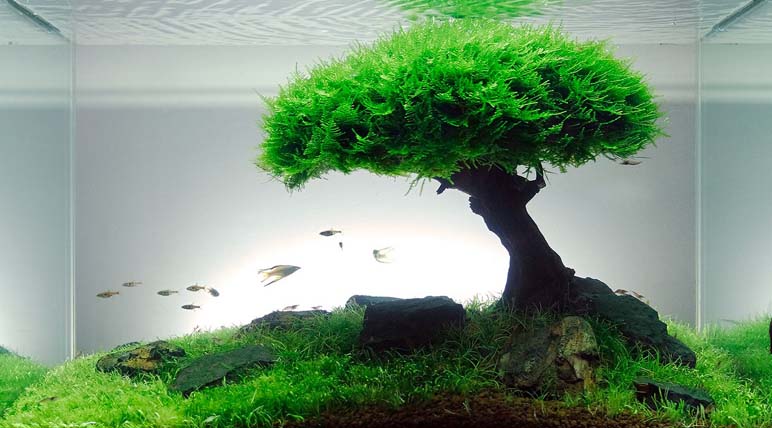 AquariumWarenhuis