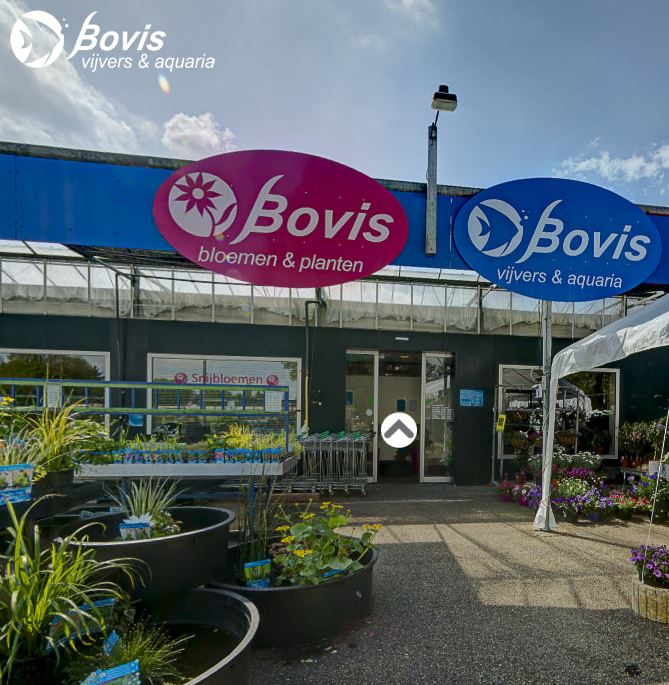 Bovis estanques y acuarios