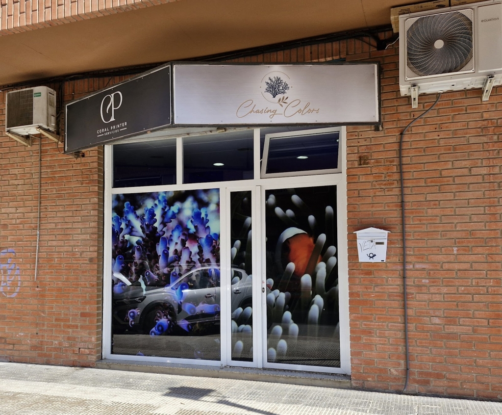 Chasing Colors Marine Aquariums