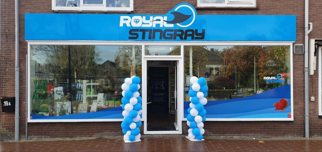 Royal Stingray