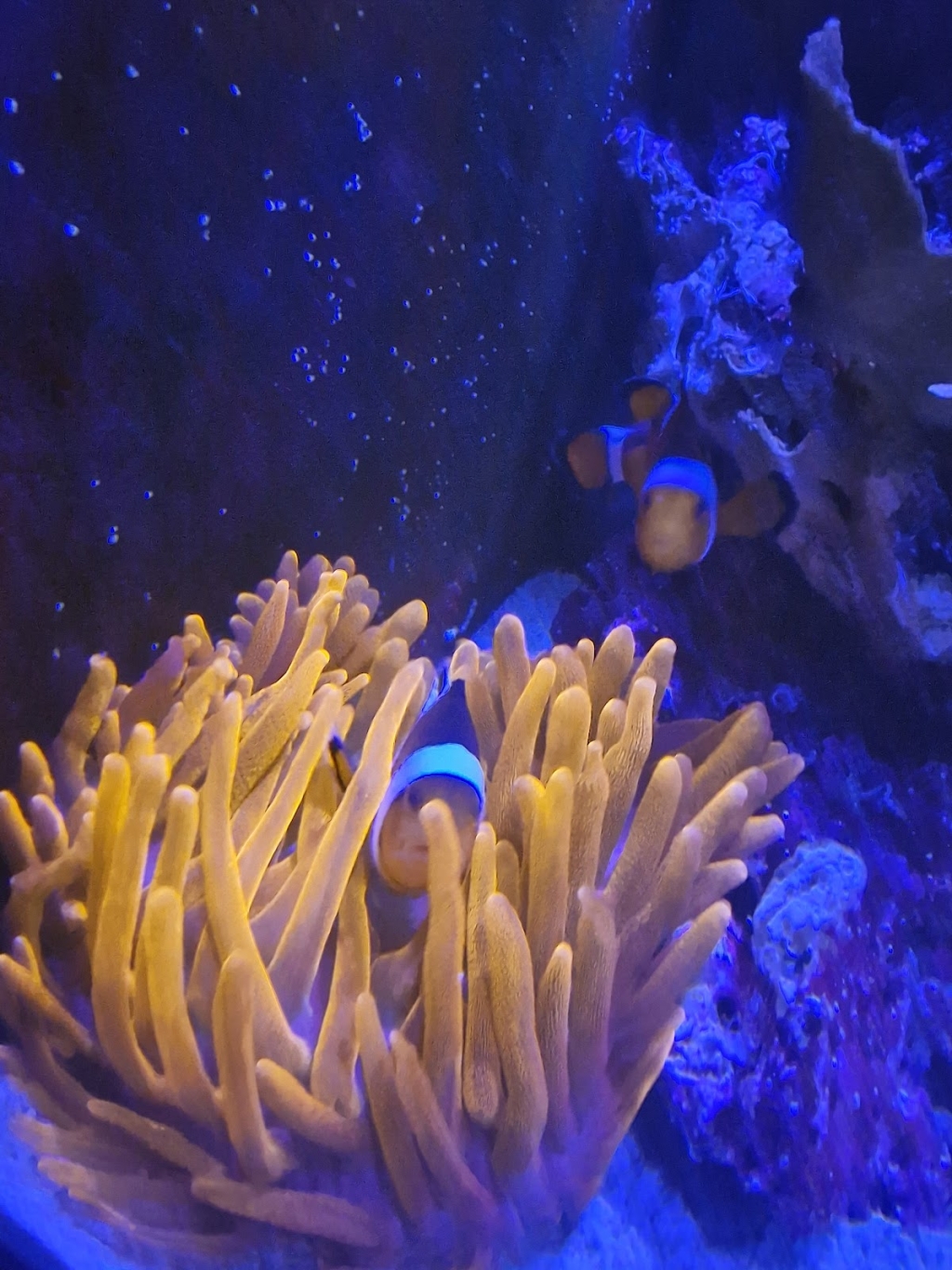 Aquarium Construction Netherlands