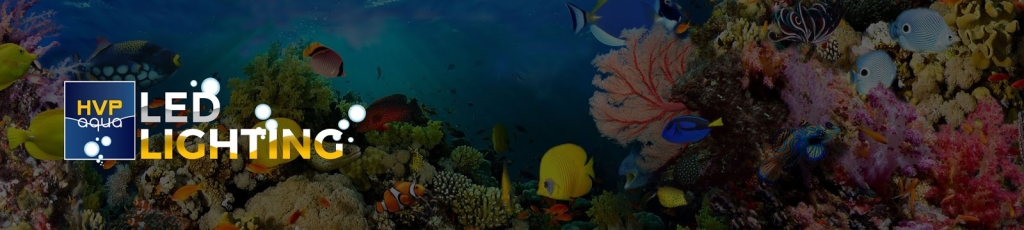 HVP AQUA - Experts in aquarium LED