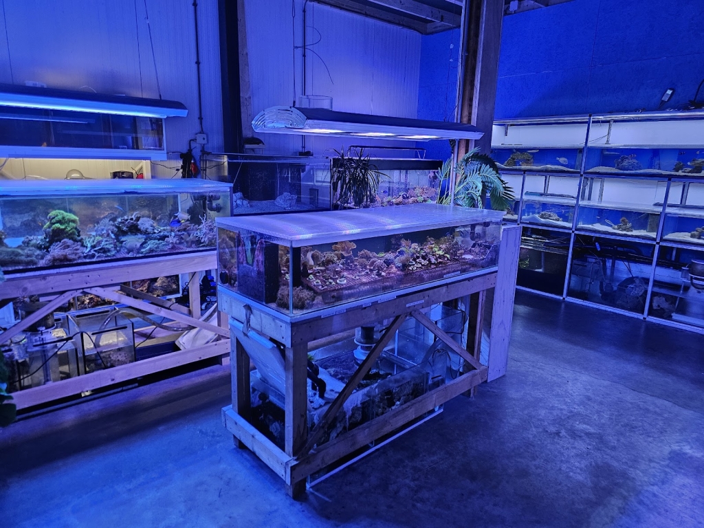 Ocean Art Biotechnology