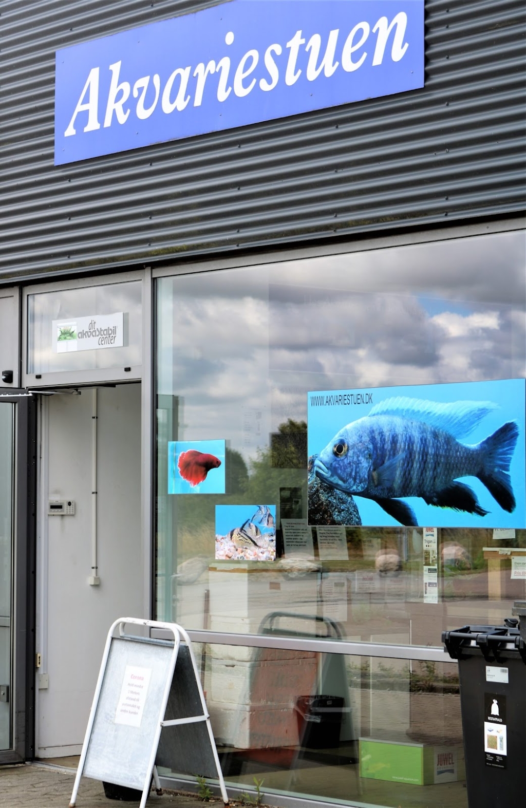 El Acuario