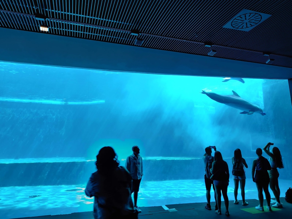 Aquarium of Genoa