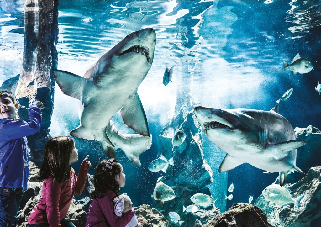 Acuario de Cattolica