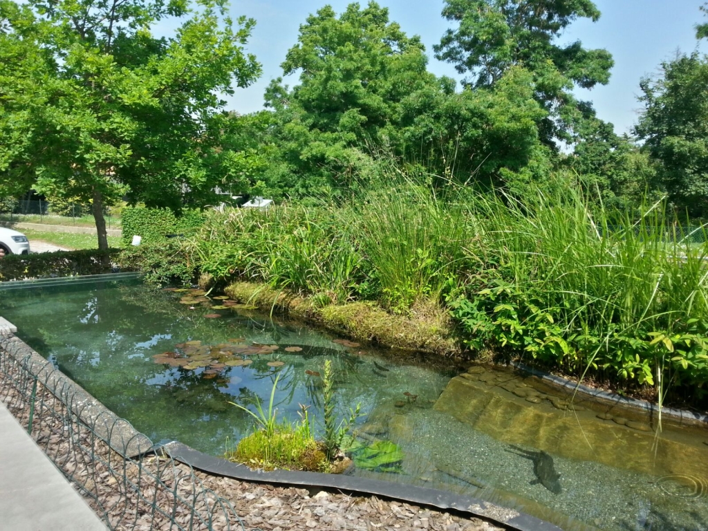 Acuario de Ariis