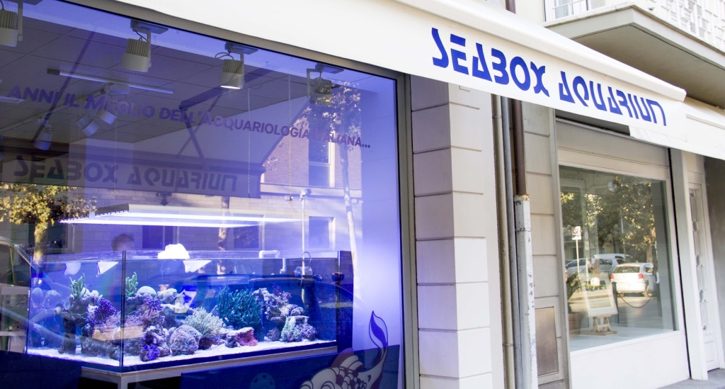 SEABOX ACUARIO & MASCOTAS Srl
