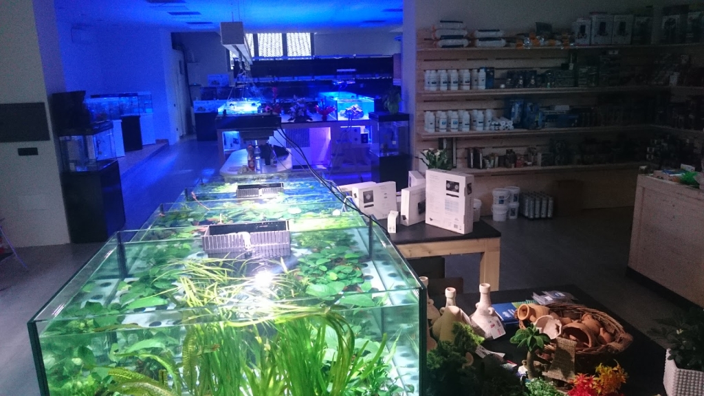 Acuario Natura